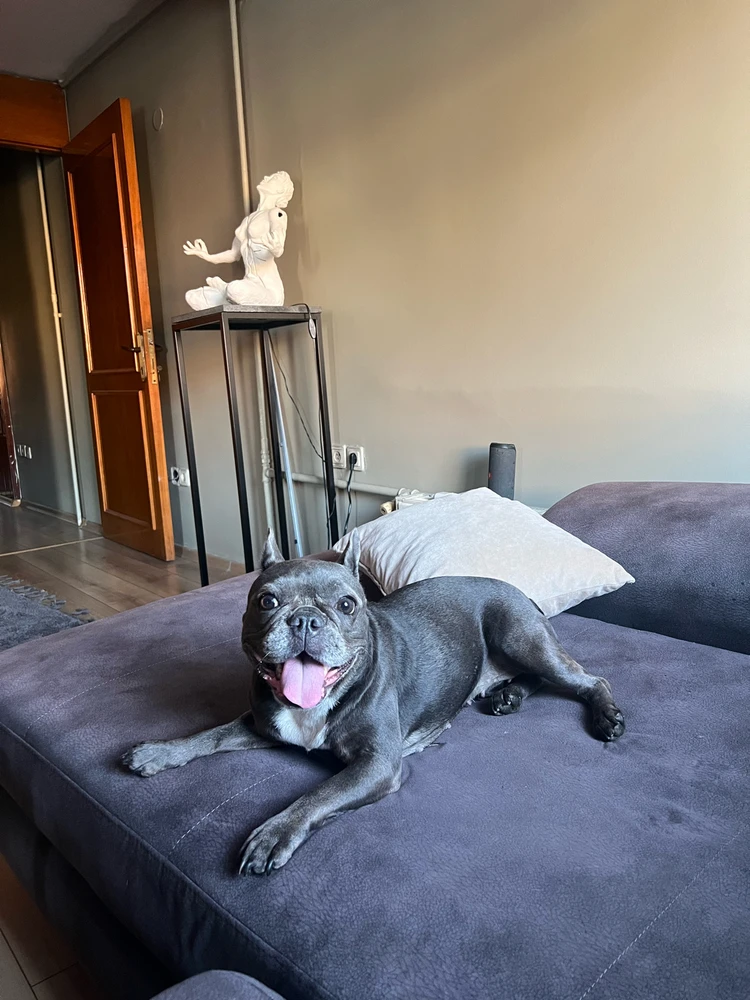 Furkan Ege tarafından yüklenen GIF