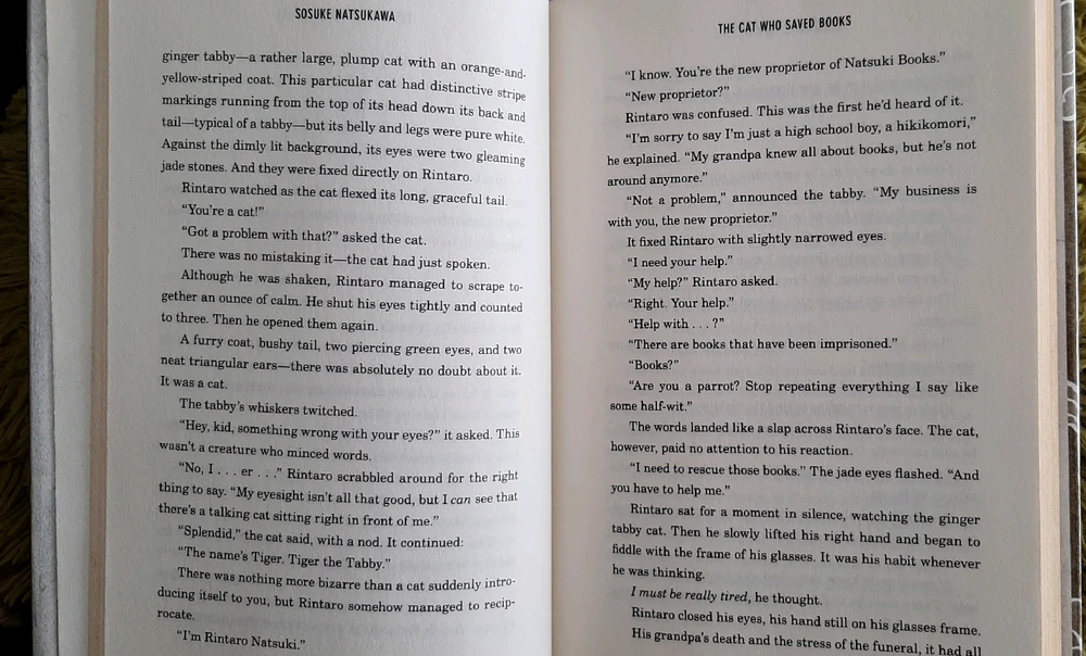 Gambar diunggah dening Nat RB