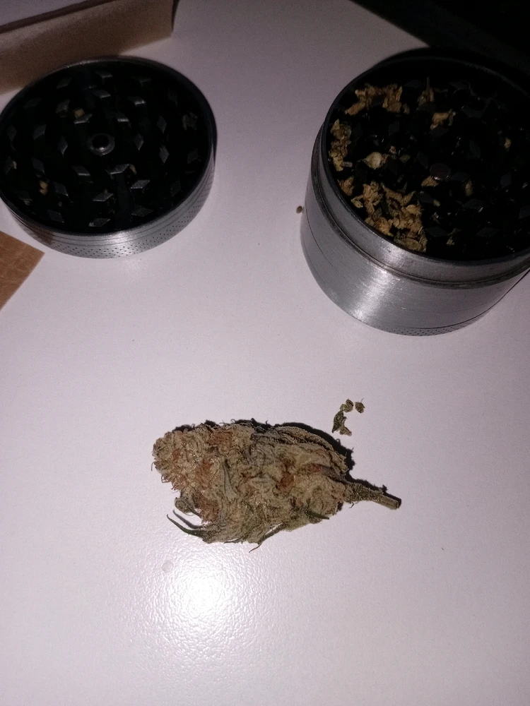 GIF uploaded by meliii