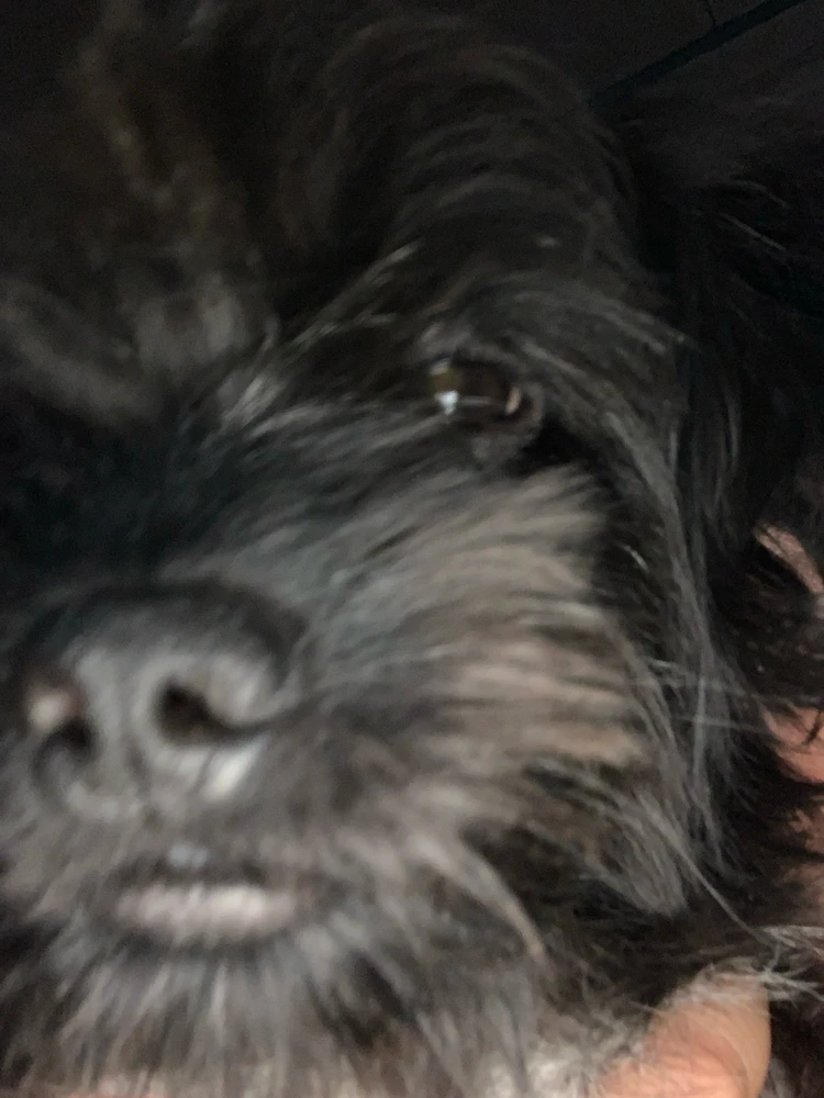 Image uploaded by Shen