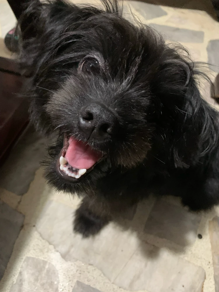 Image uploaded by Shen