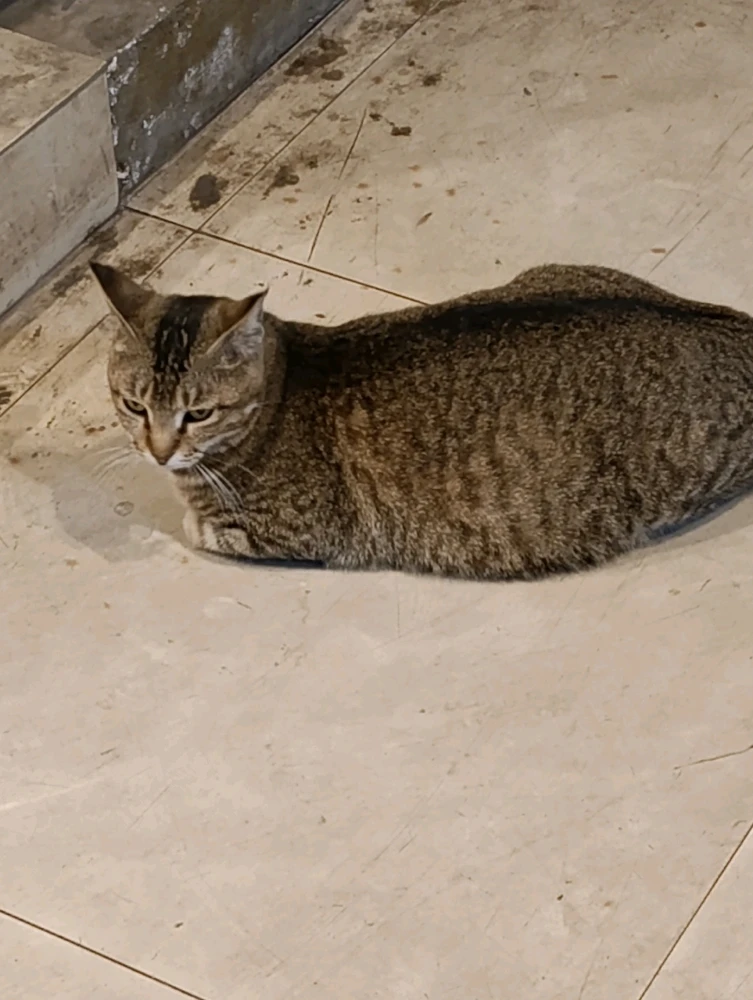 GIF uploaded by GorayaH