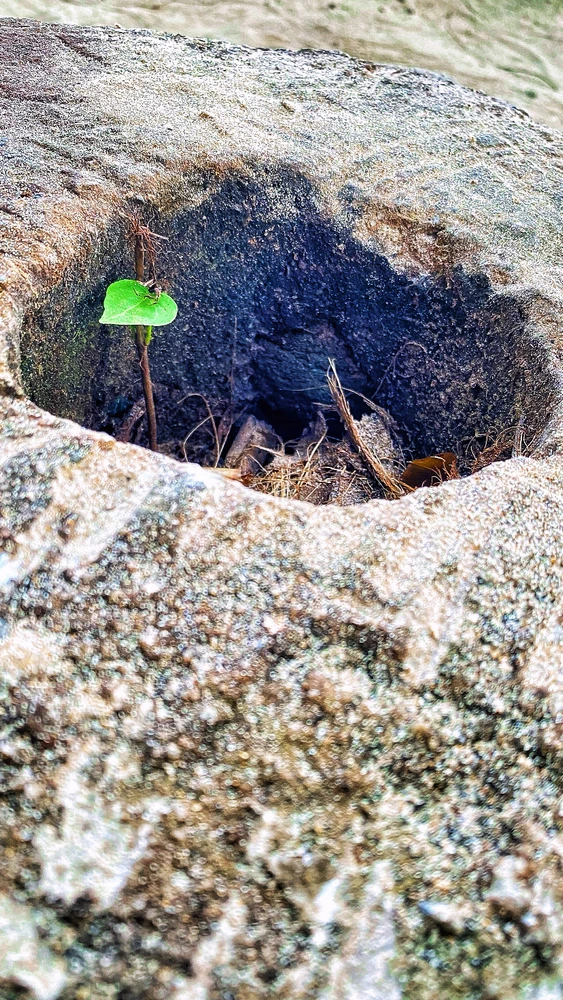 GIF uploaded by MDVICK