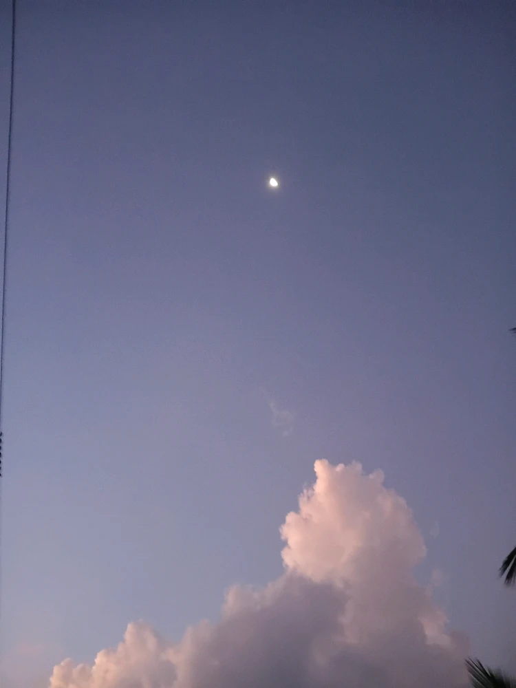 Image uploaded by Anandhu S