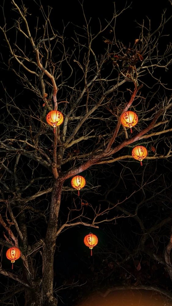 Image uploaded by Ana