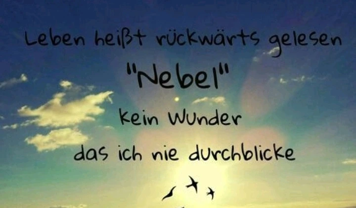 GIF hochgeladen von Teasy