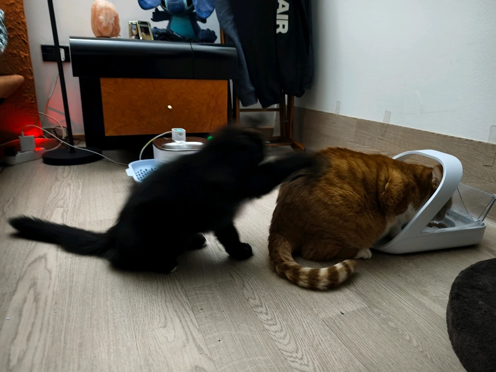 GIF caricata da Mattia