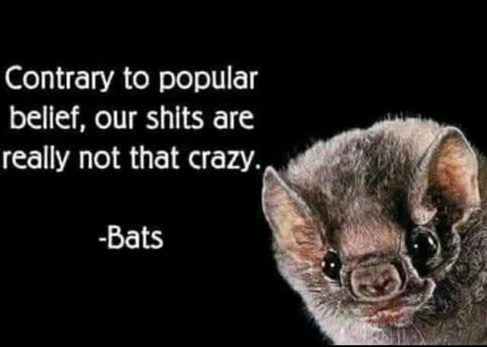 GIF uploaded by 🌙✨ℳℯ𝓁𝒶𝓃𝒾𝓆𝓊ℯ✨🌙