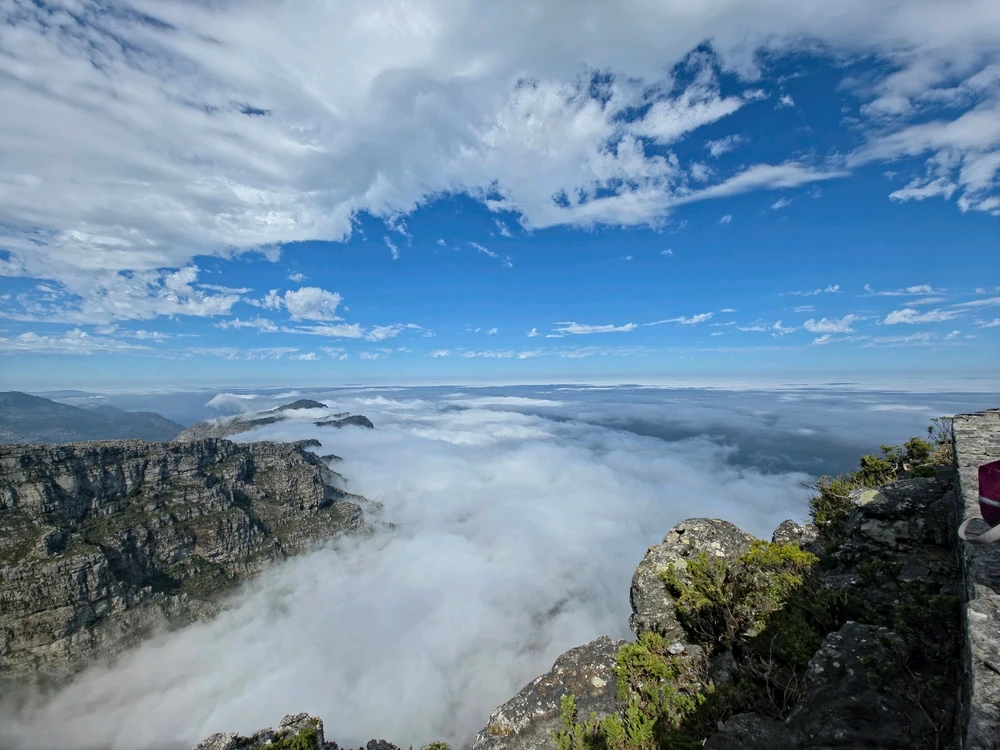 Image uploaded by Shaun