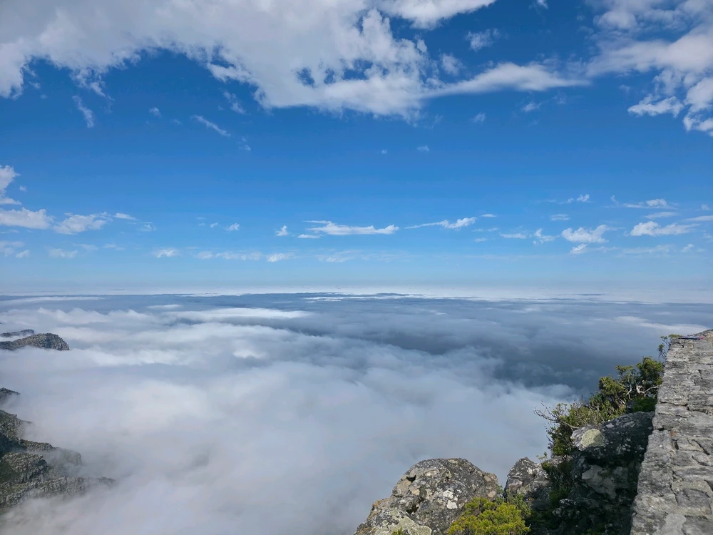 Image uploaded by Shaun