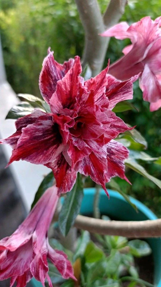 GIF uploaded by kris