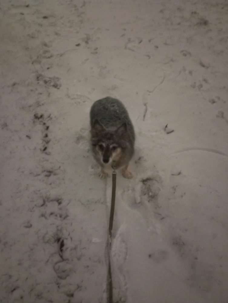 GIF dodany przez Kacper