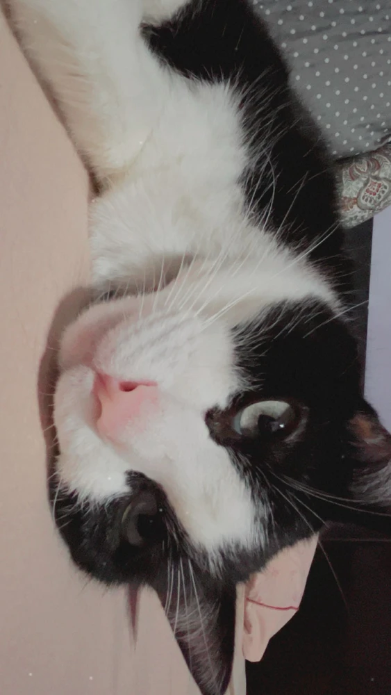 GIF enviado por Bruna