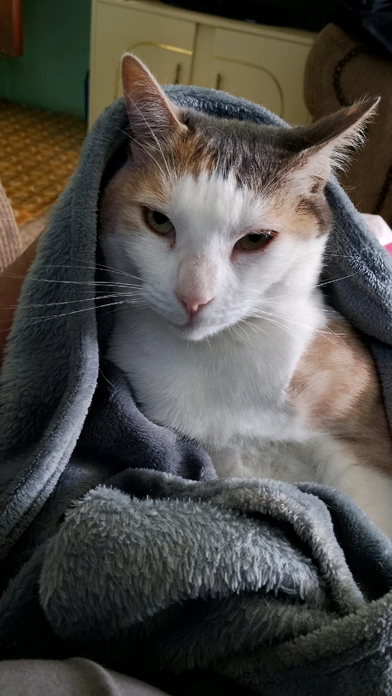 GIF uploaded by Courtney