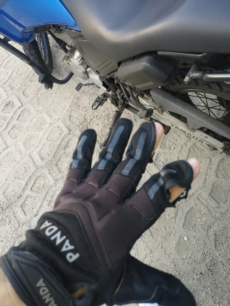 Imagem enviada por Carlos