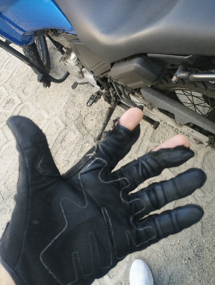 Imagem enviada por Carlos