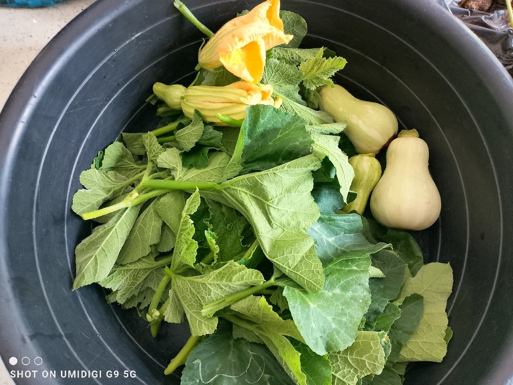 Image uploaded by Millie