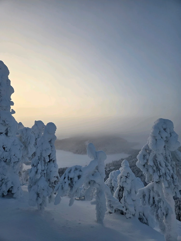 GIF uploaded by Aurora