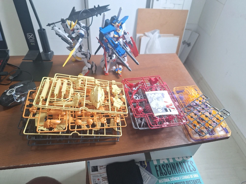 Imagem enviada por Rafael