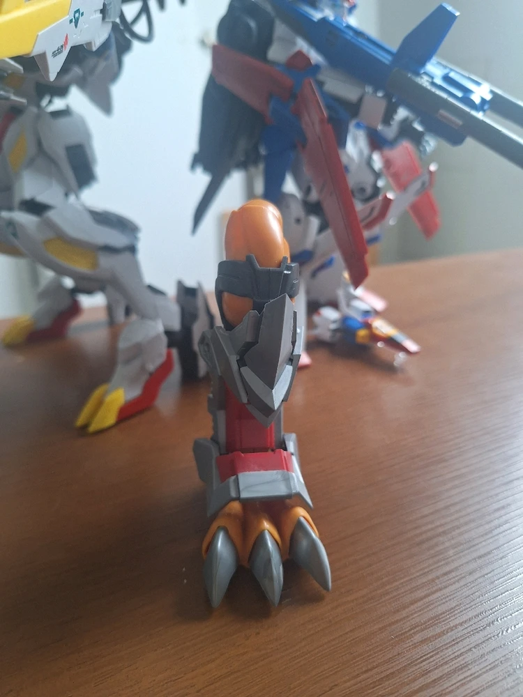 Imagem enviada por Rafael