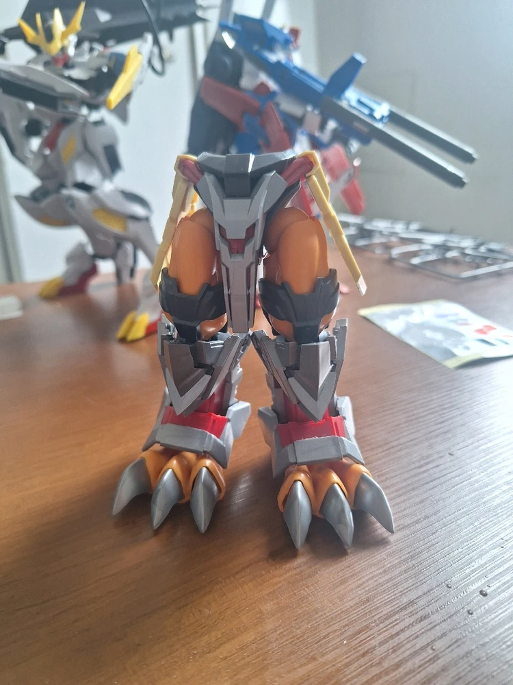 Imagem enviada por Rafael