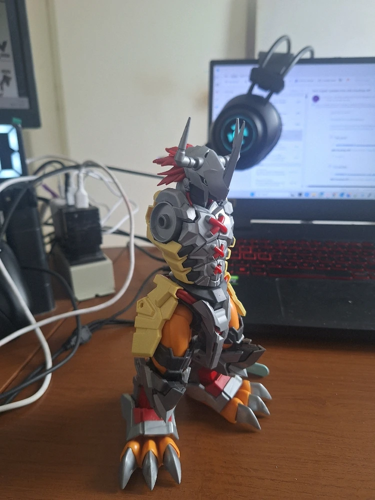 Imagem enviada por Rafael