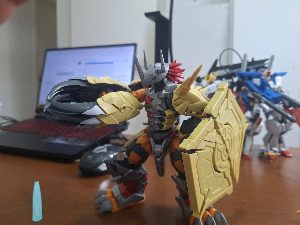 Imagem enviada por Rafael