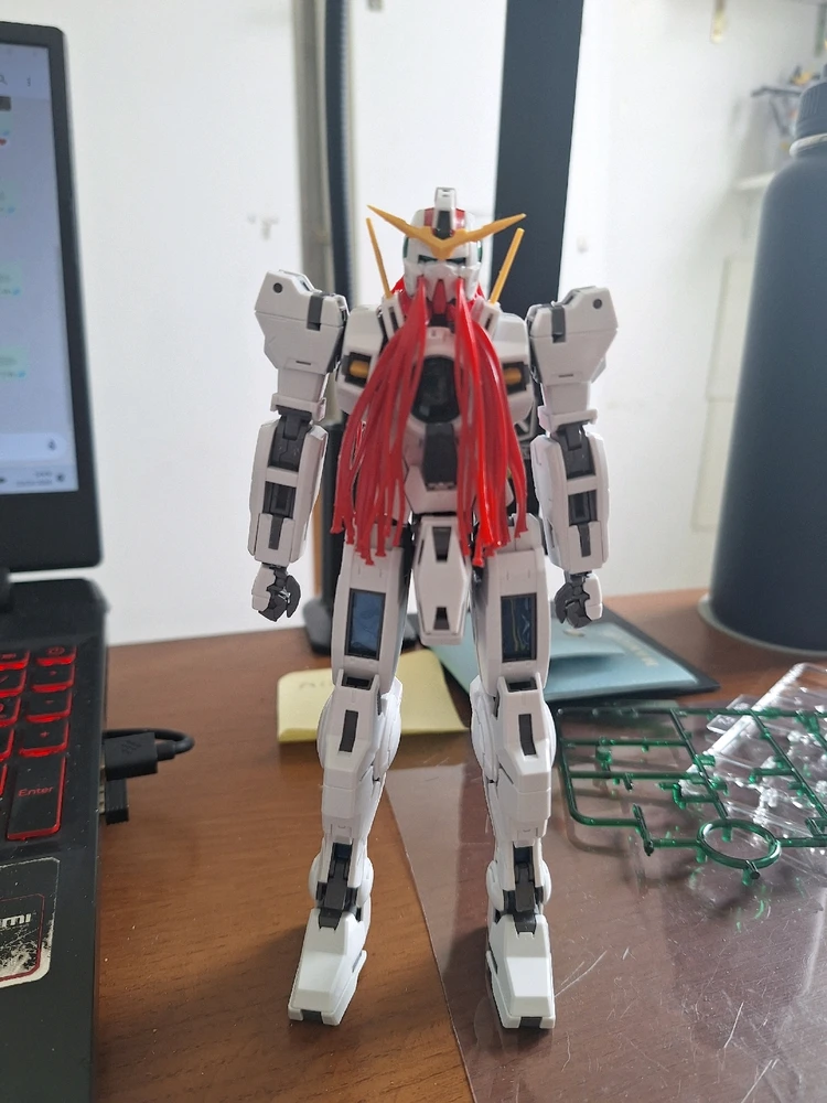 Imagem enviada por Rafael