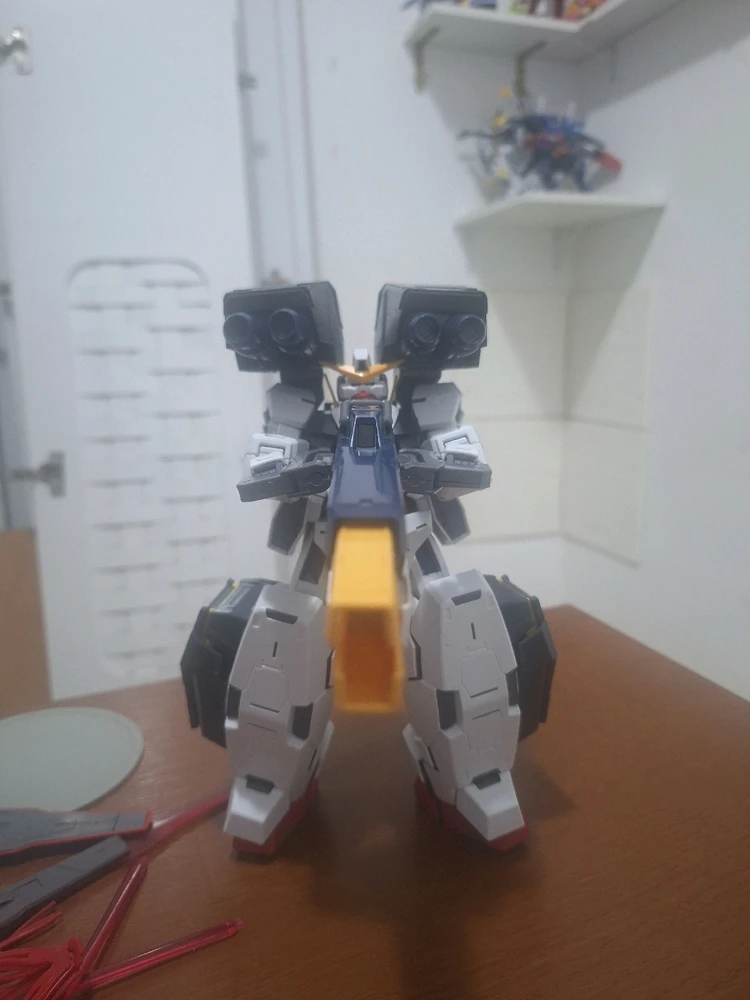 Imagem enviada por Rafael