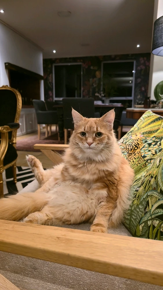 GIF uploaded by Irene