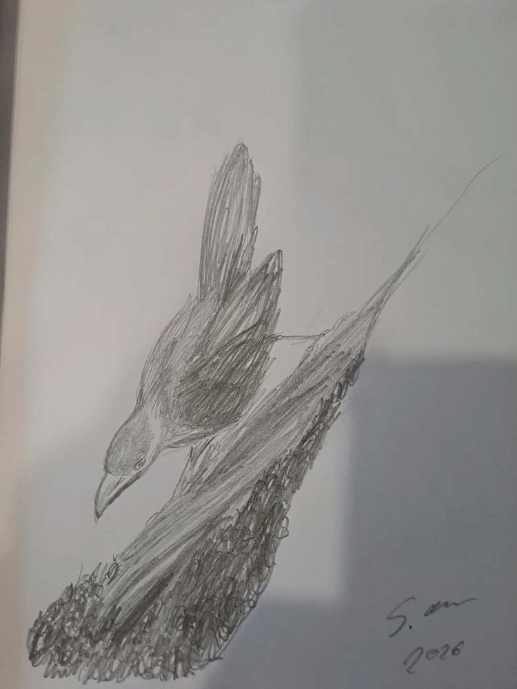 GIF hochgeladen von Sarah