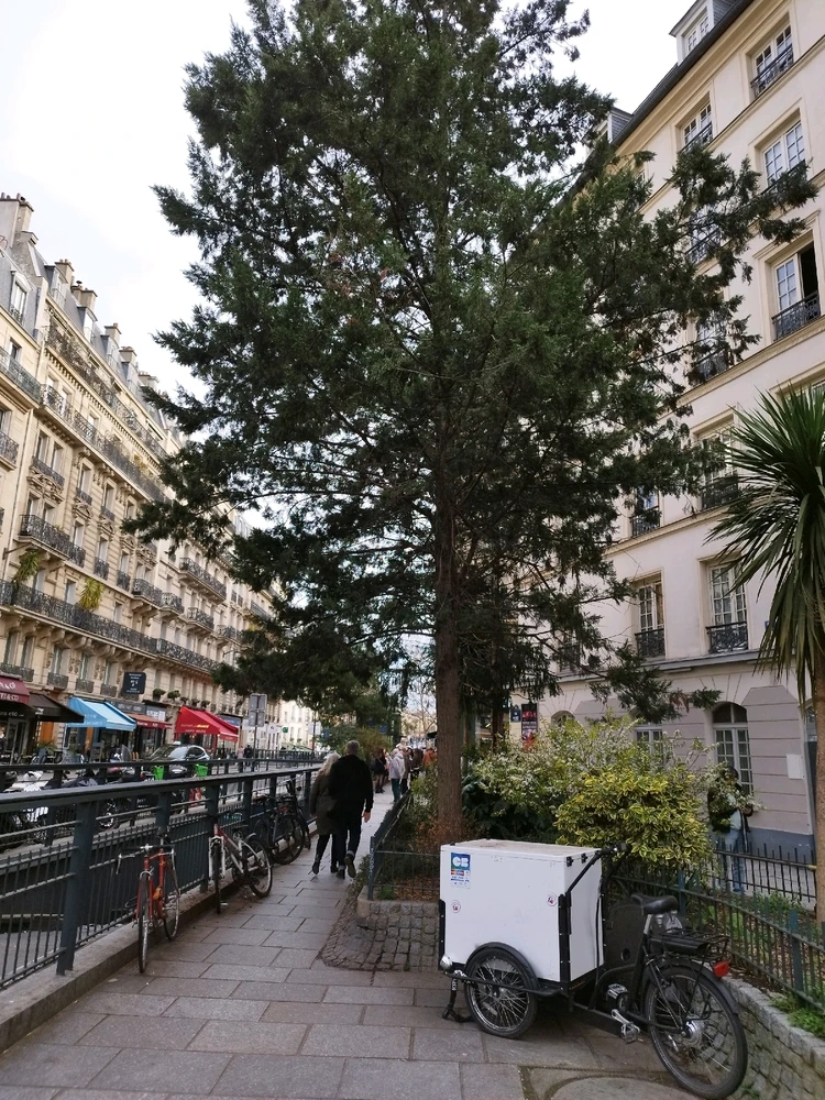 Image ajoutée par Nio