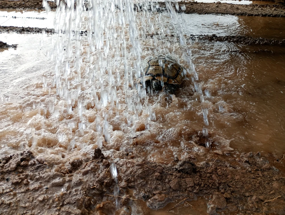 GIF subido por YesyEdu