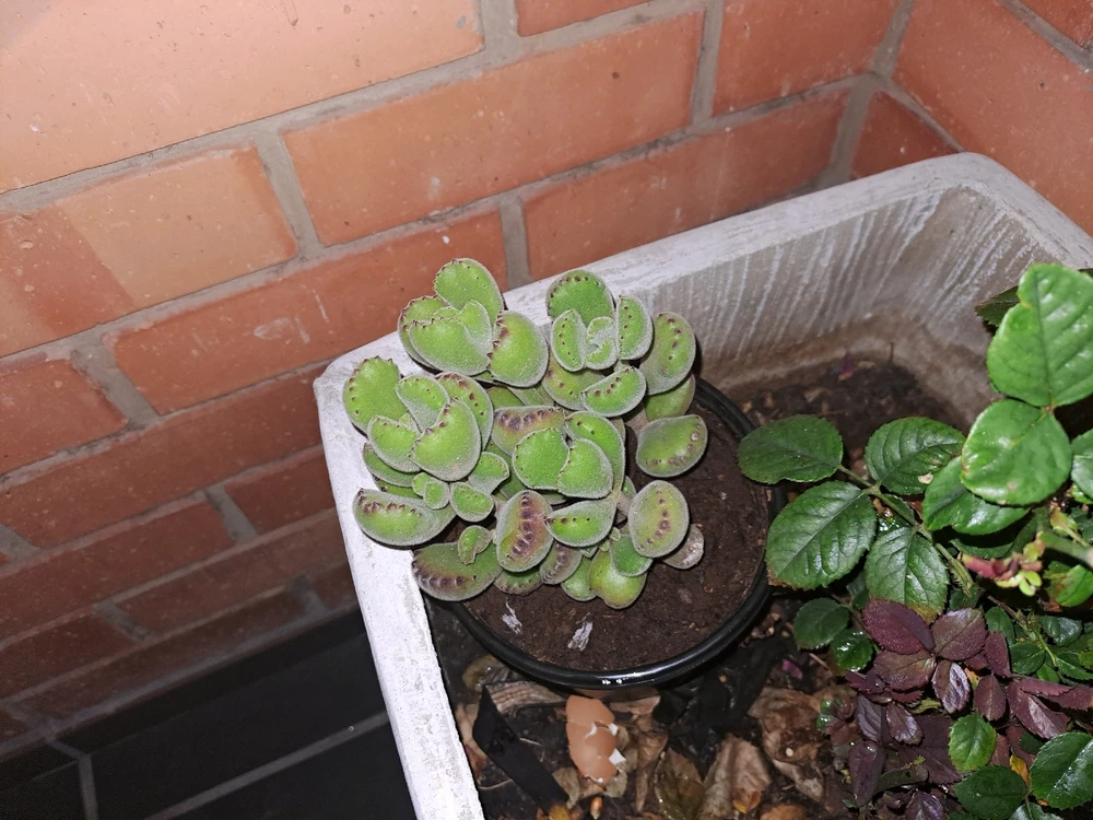 GIF uploaded by Sandz