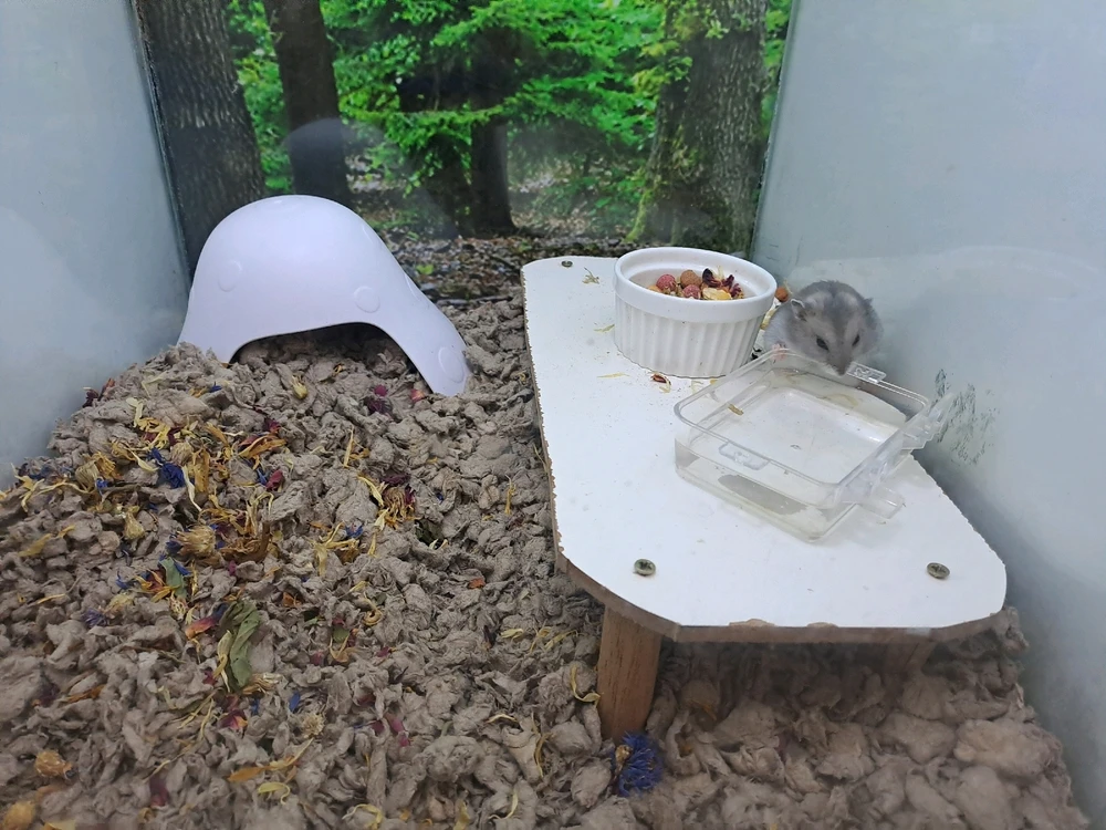 GIF uploaded by Sandz