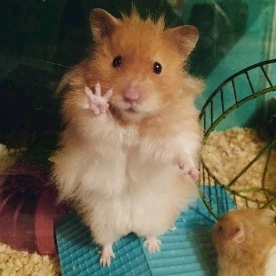 GIF uploaded by Sandz