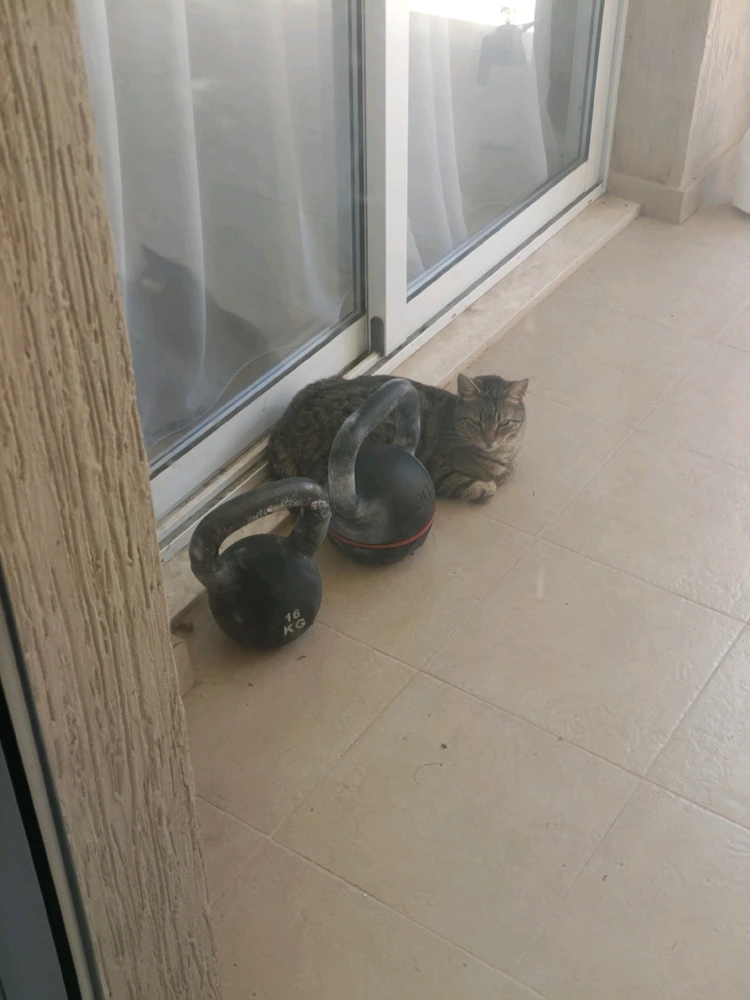 GIF uploaded by Daniil