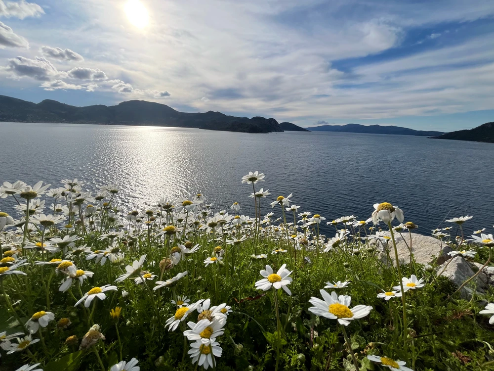 Aytekin tarafından yüklenen GIF