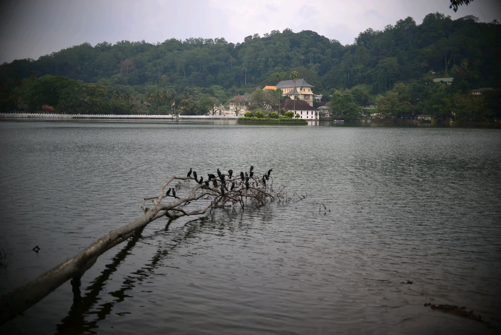 GIF uploaded by S
