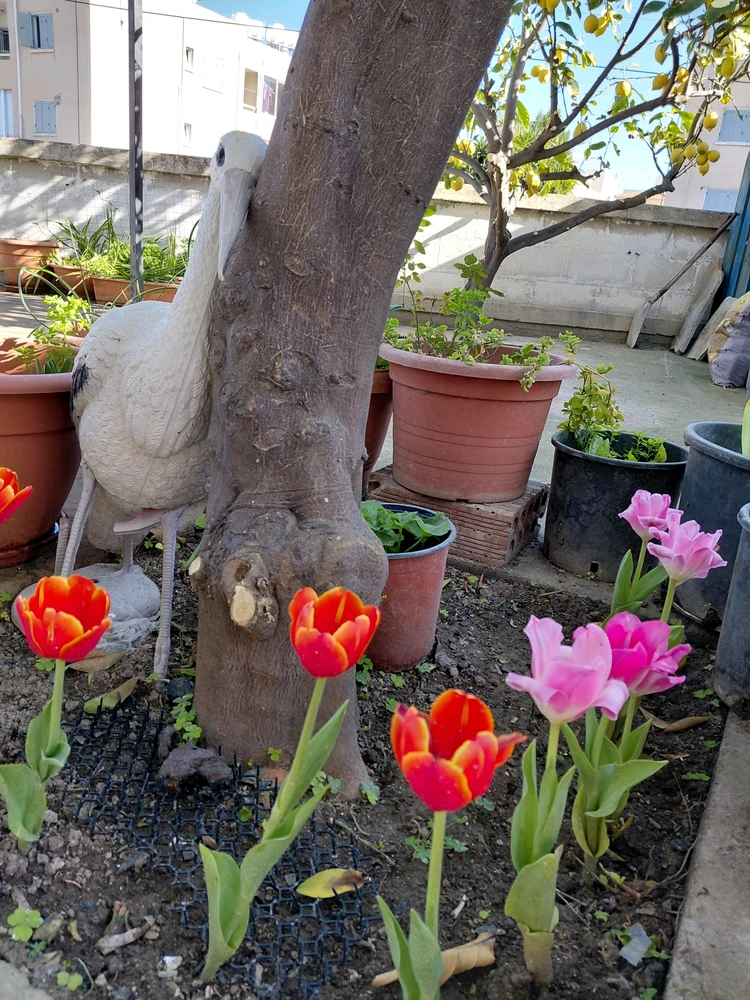 GIF ανέβηκε από Anastasia