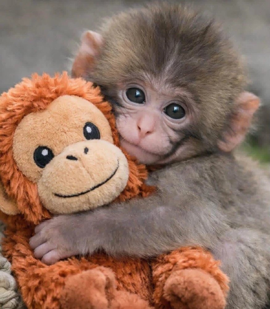 GIF uploaded by moana