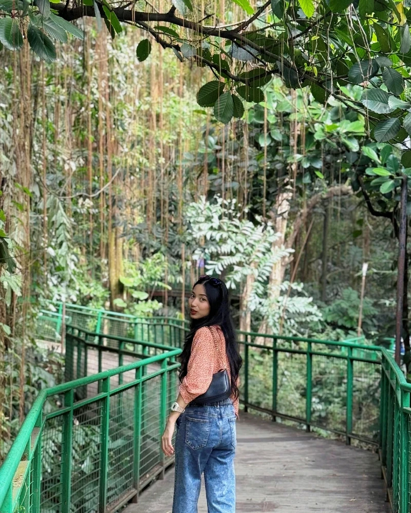由Diane上传的图片
