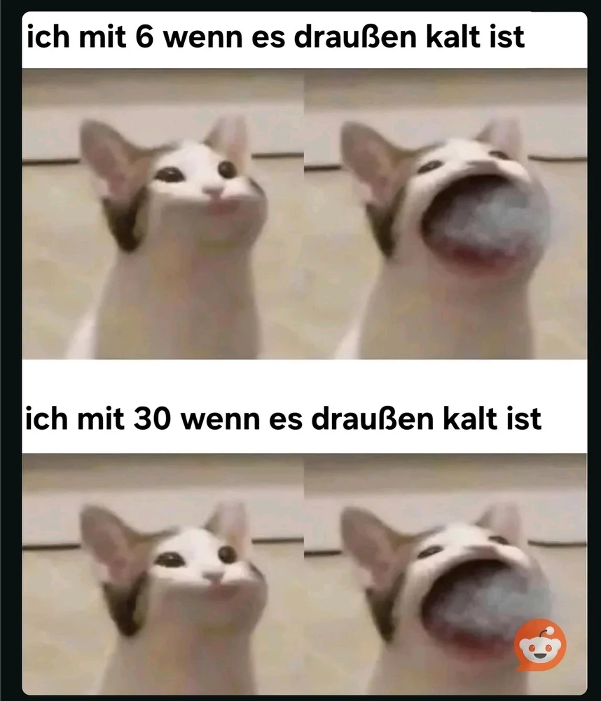 GIF hochgeladen von Caro