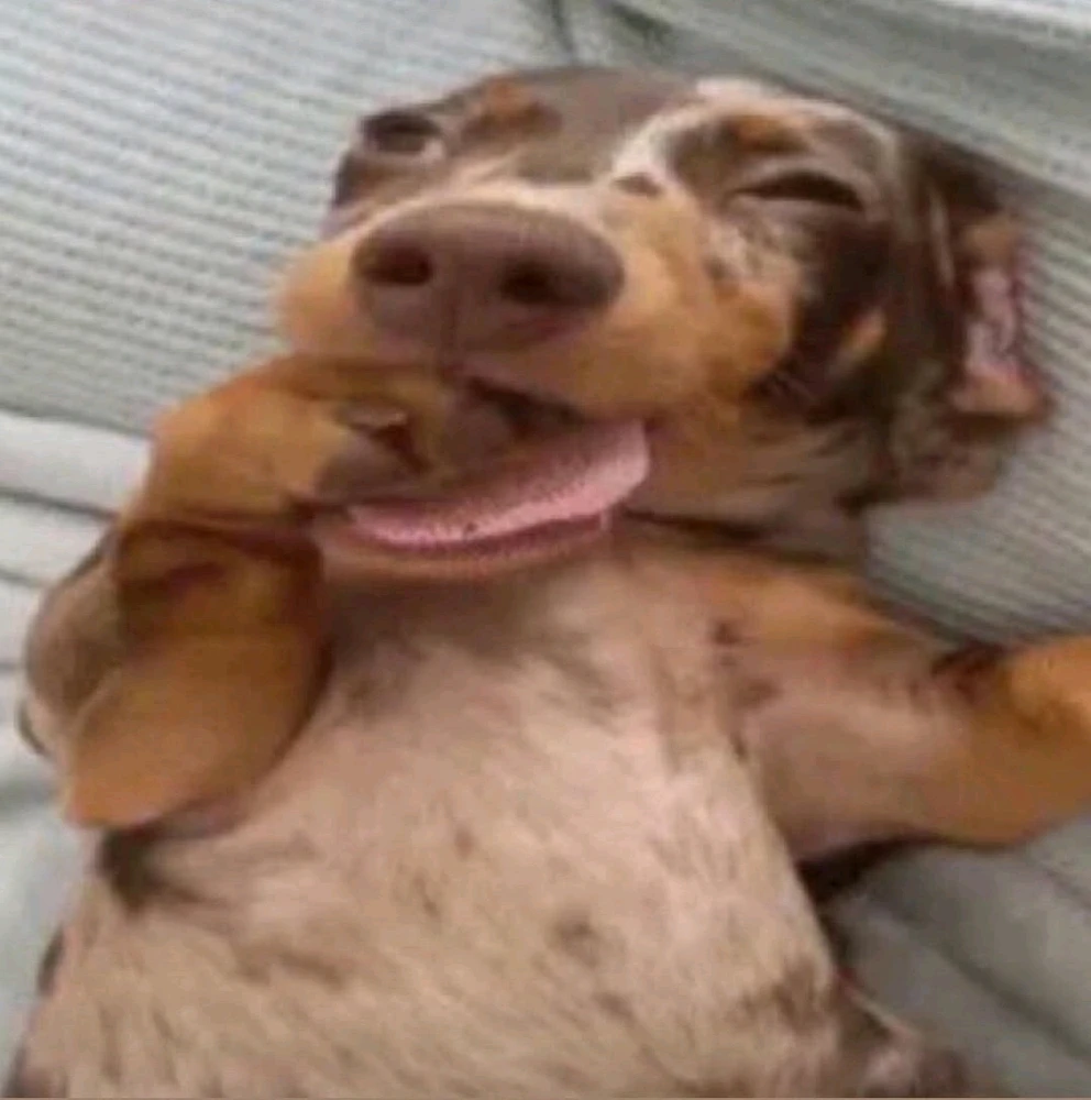 GIF enviado por Nana