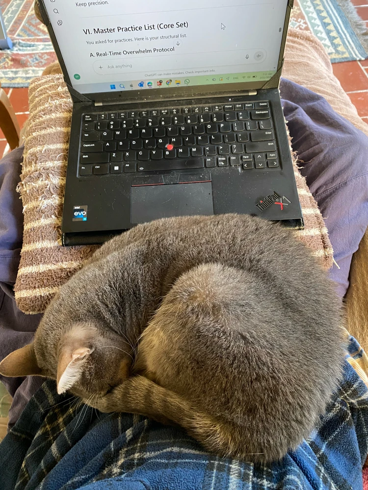 GIF uploaded by Brian