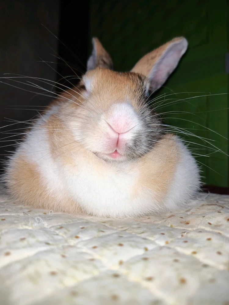 GIF uploaded by shortgirl