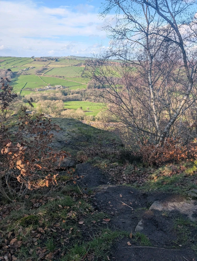 Image uploaded by Brandon Rawson