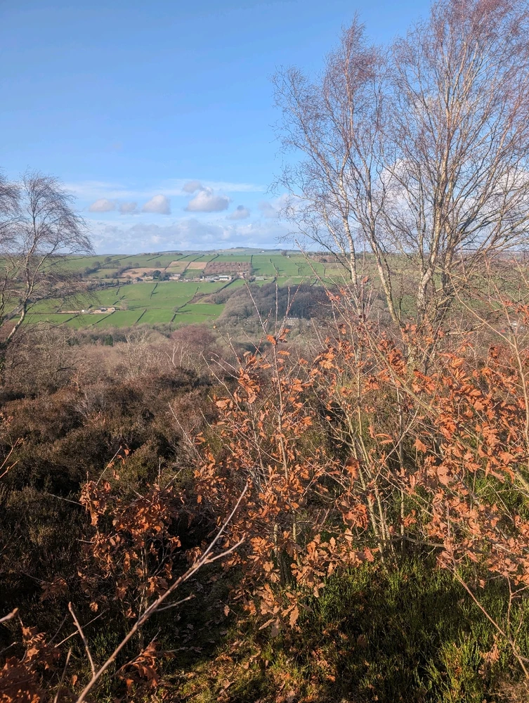 Image uploaded by Brandon Rawson