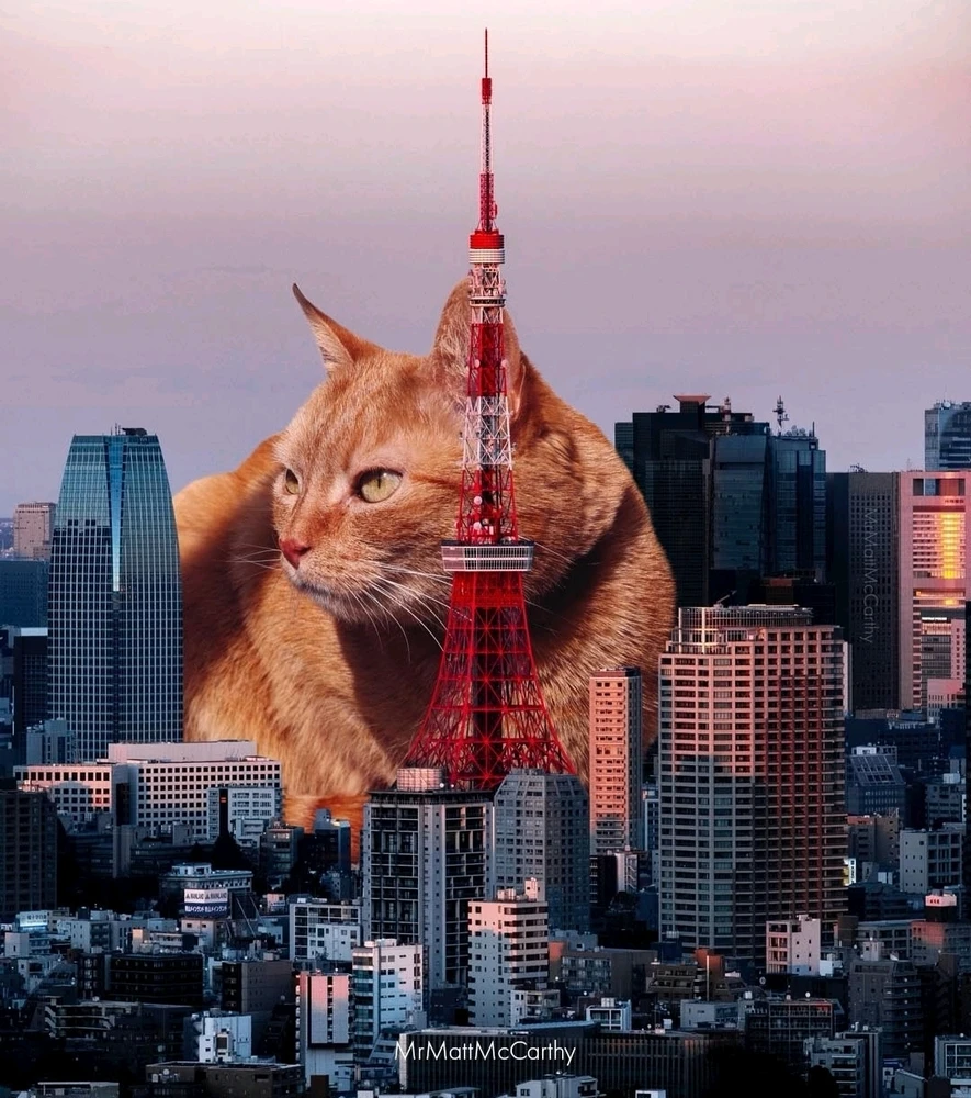 Image ajoutée par Nio