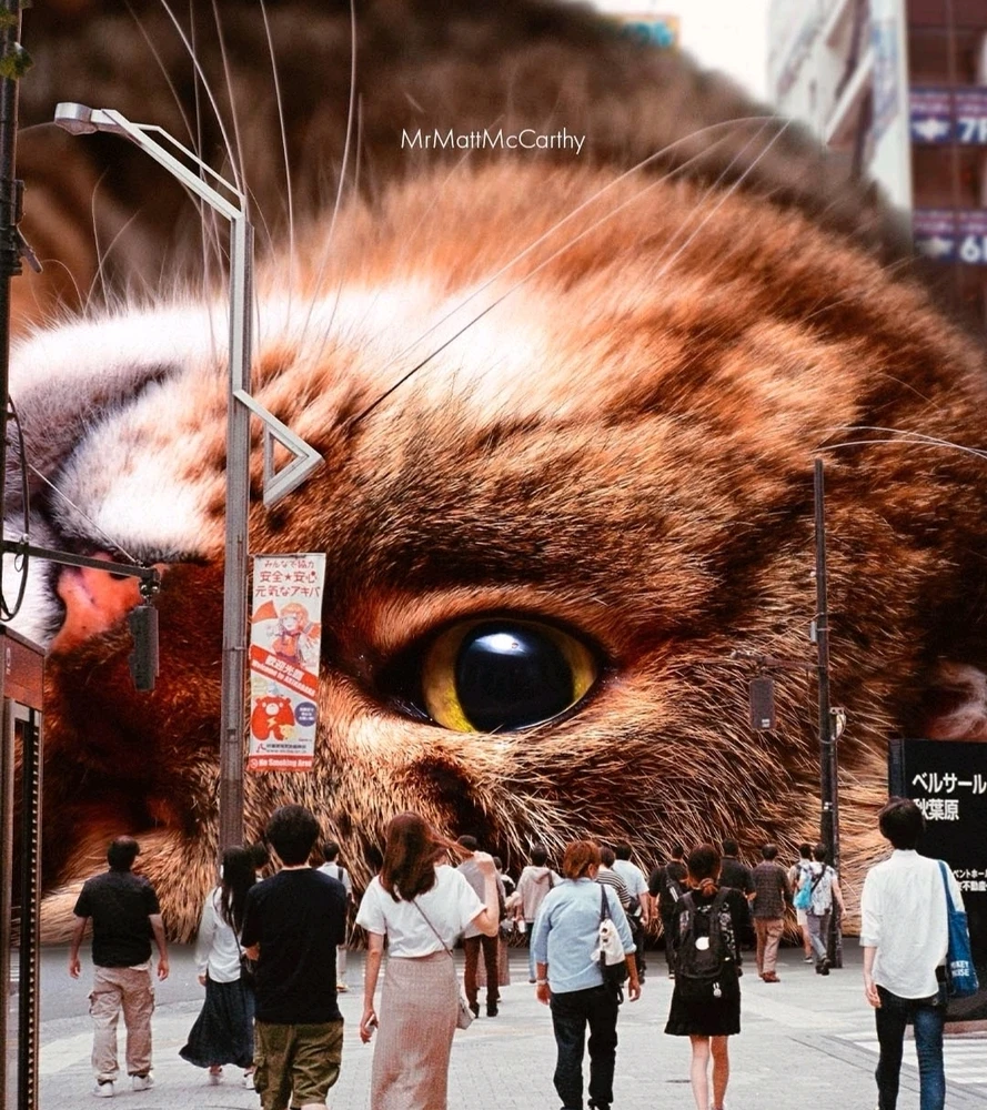 Image ajoutée par Nio